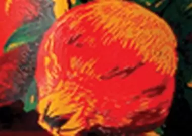 vangoh161011