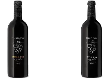 orhaganuz281111