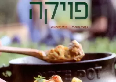 poyke141111