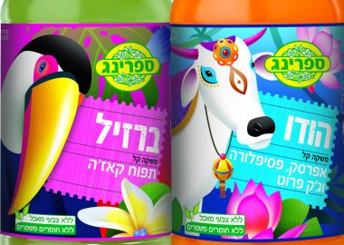 ספרינג ארצות