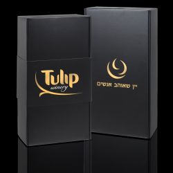 צילום איל קרן