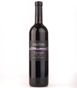 צילום יגאל עמר