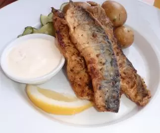 fish12912