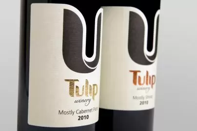 tulip18313