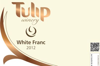 צילום יחסי ציבור tulip13513