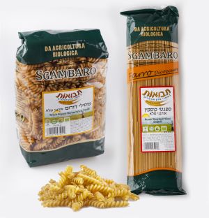 pasta15613