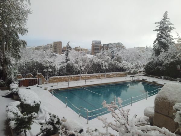 fattal121213
