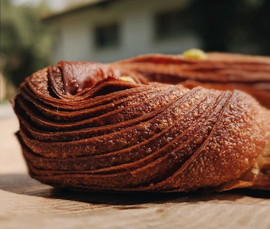 תושה צילום שגיא (סופגי) גואטה