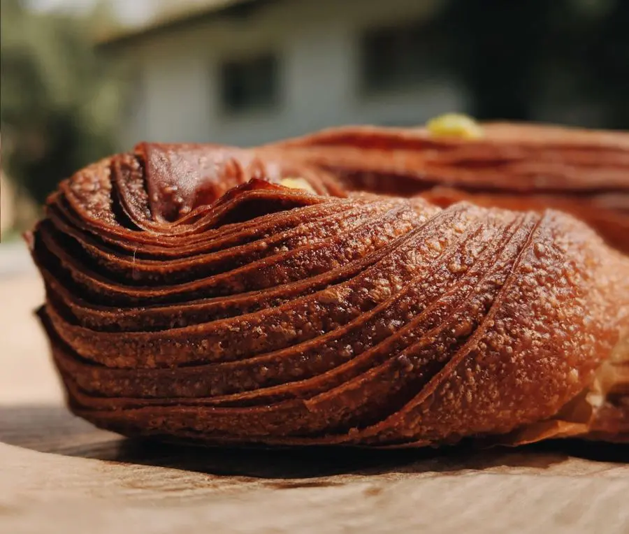 תושה צילום שגיא (סופגי) גואטה