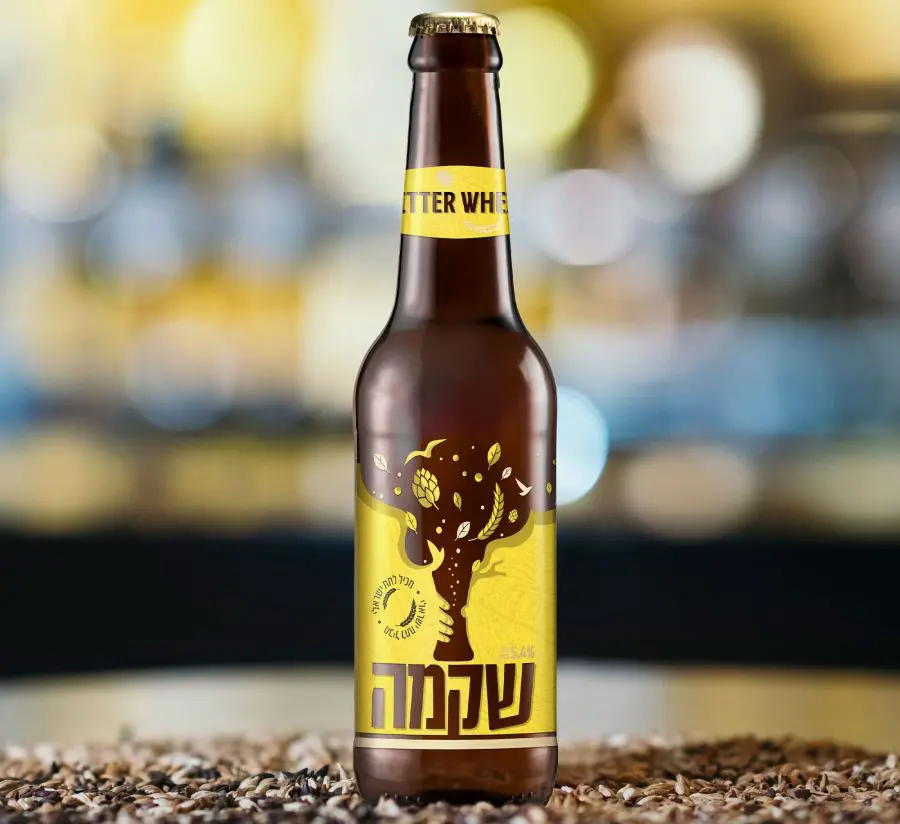 שקמה BITTER WHEAT צילום יחסי ציבור